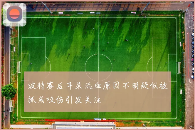 波特赛后耳朵流血原因不明疑似被抓或咬伤引发关注